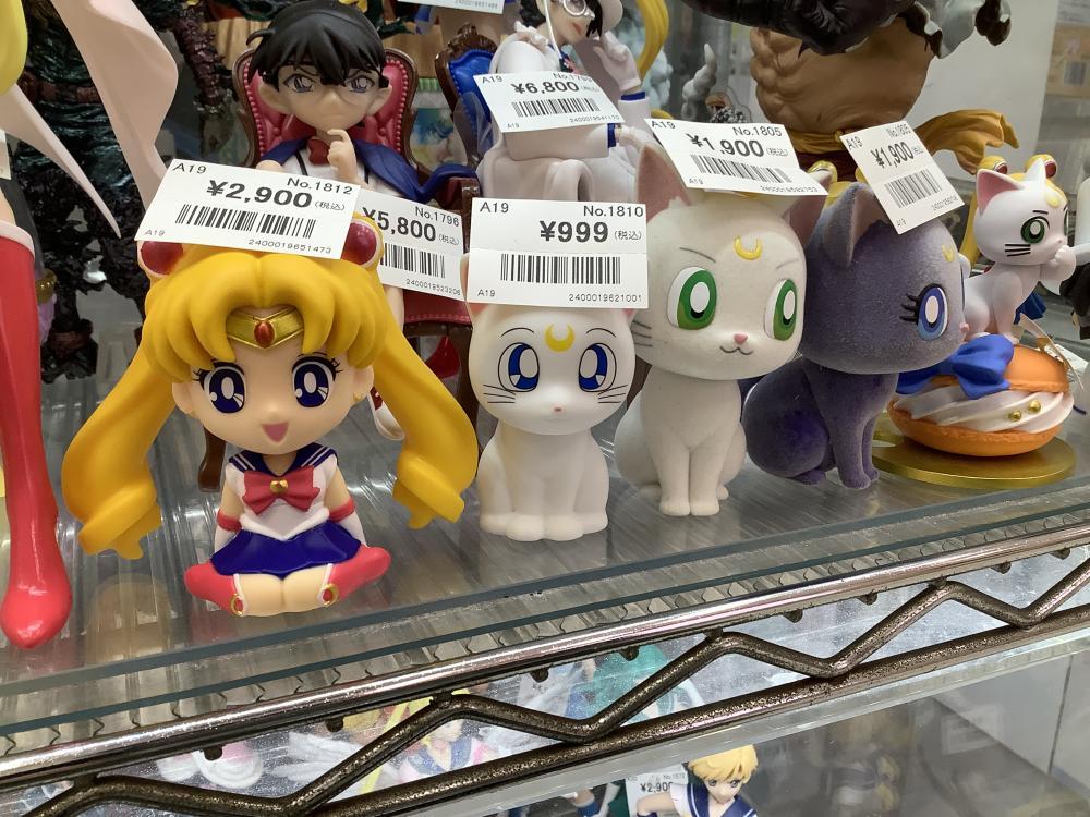 대인기 애니메이션 버라이어티 케이스