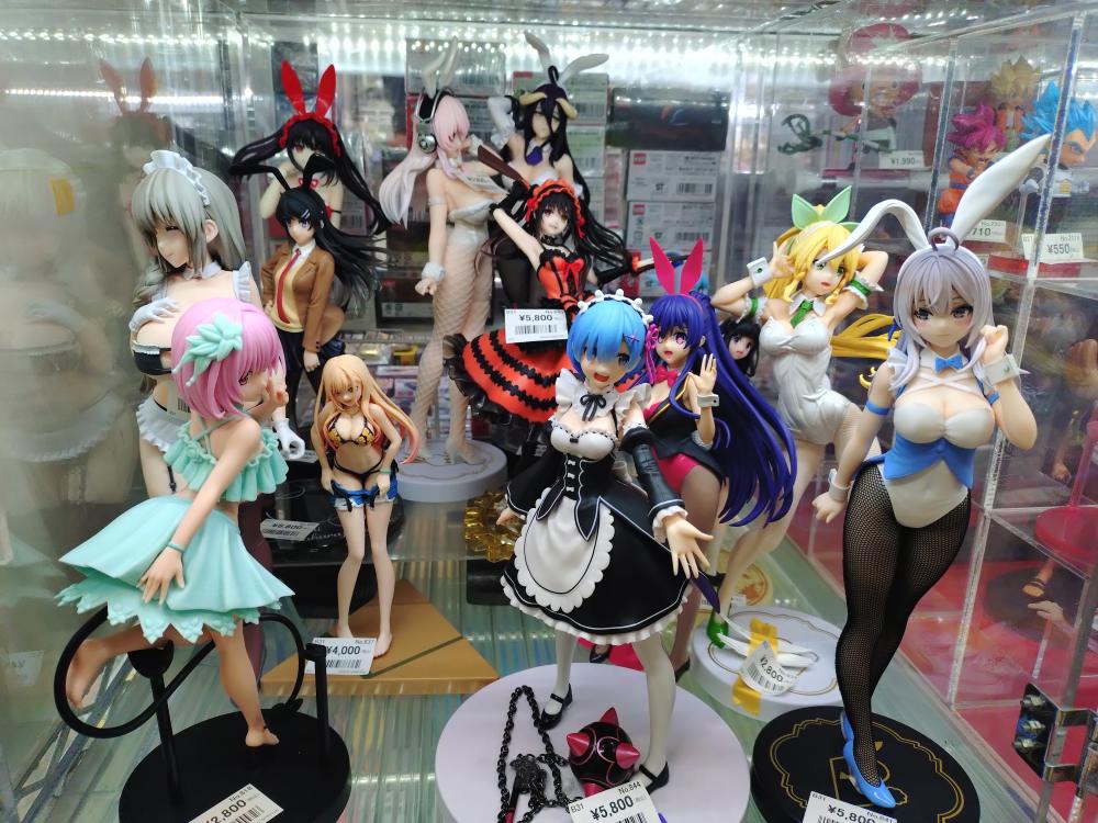 Beautiful Girl Figure Case
