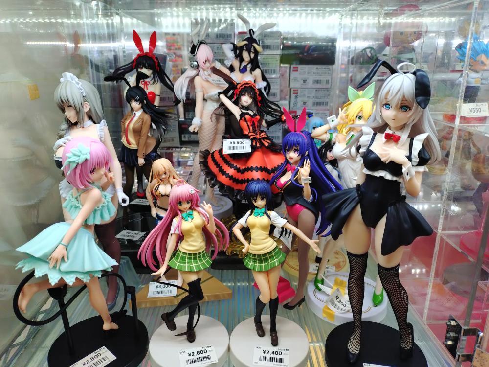 Beautiful Girl Figure Case