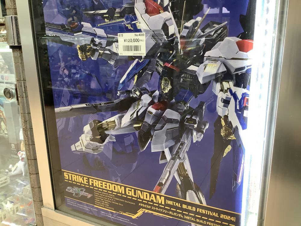 限定モデルケース