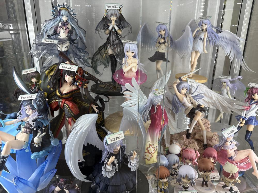 미소녀 피규어 케이스