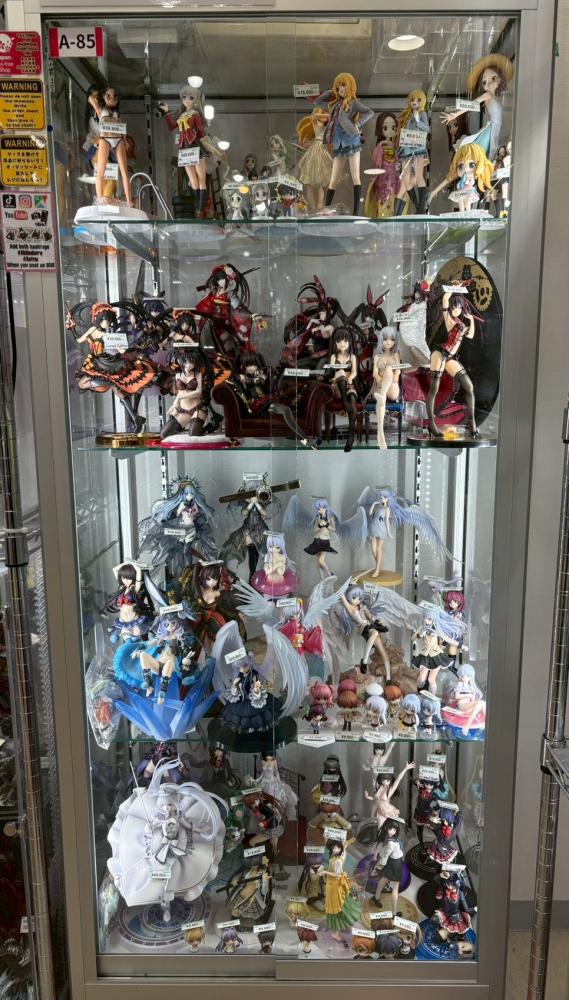 Beautiful Girl Figure Case