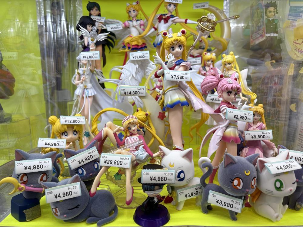 미소녀 전사 세일럼 문 전문점