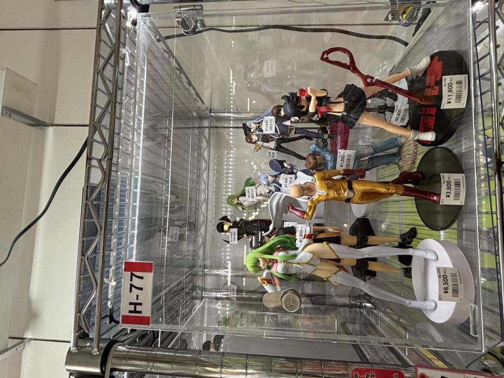 涉及众多女性角色的案例