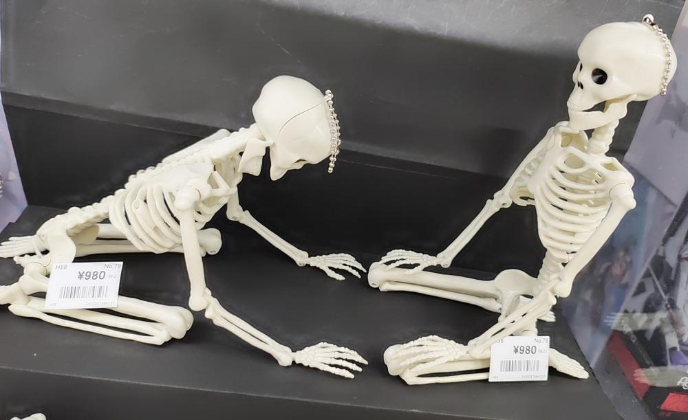 カクカクガイコツ