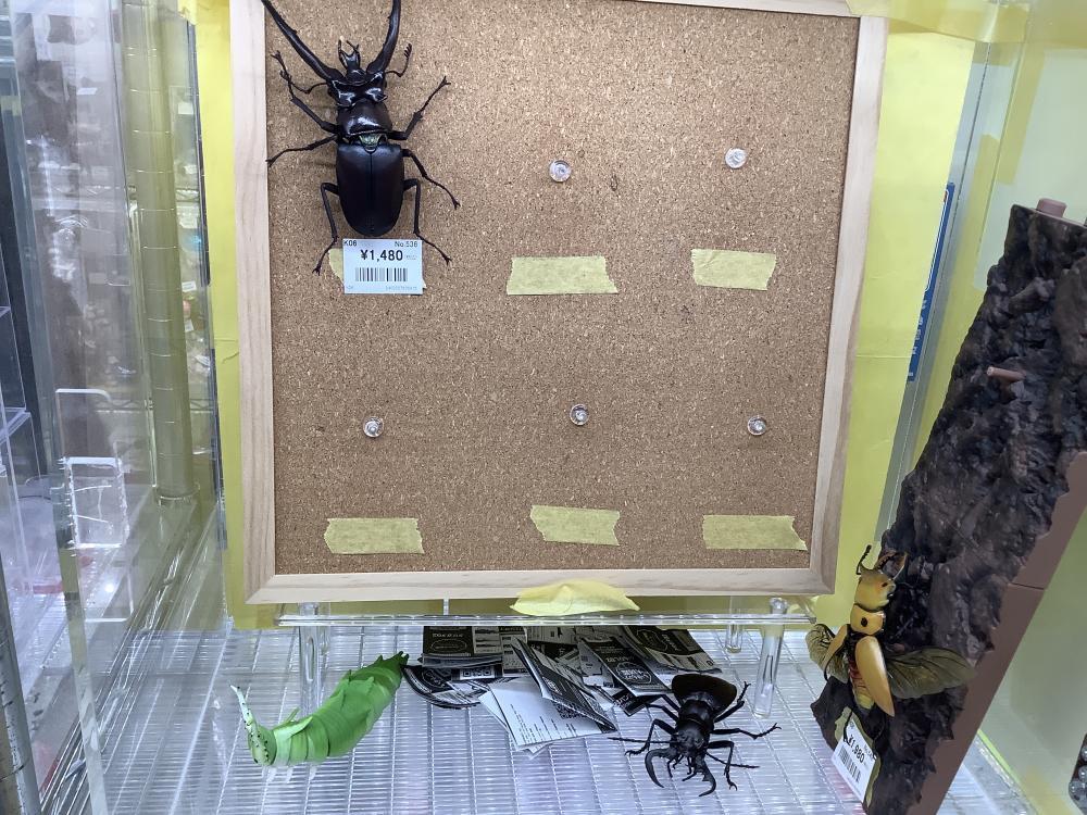 生き物大図鑑　ガチャガチャ