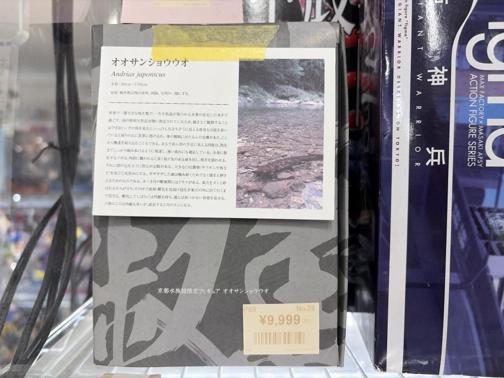 動物フィギュア