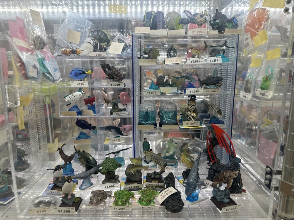 生き物フィギュア色々