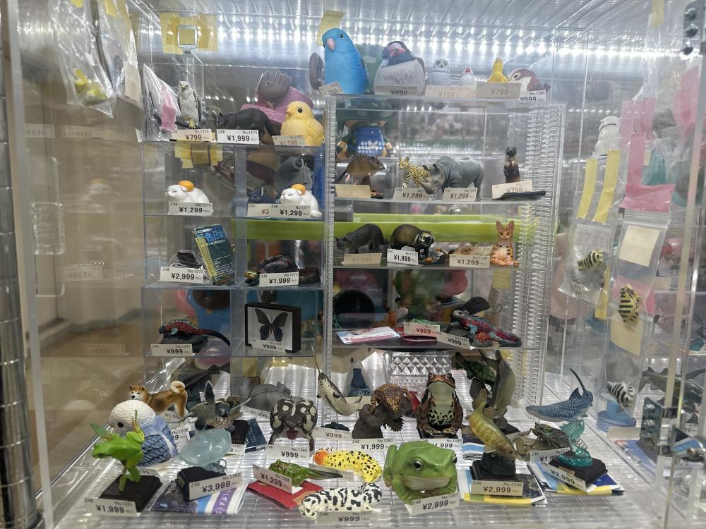 動物　フィギュア